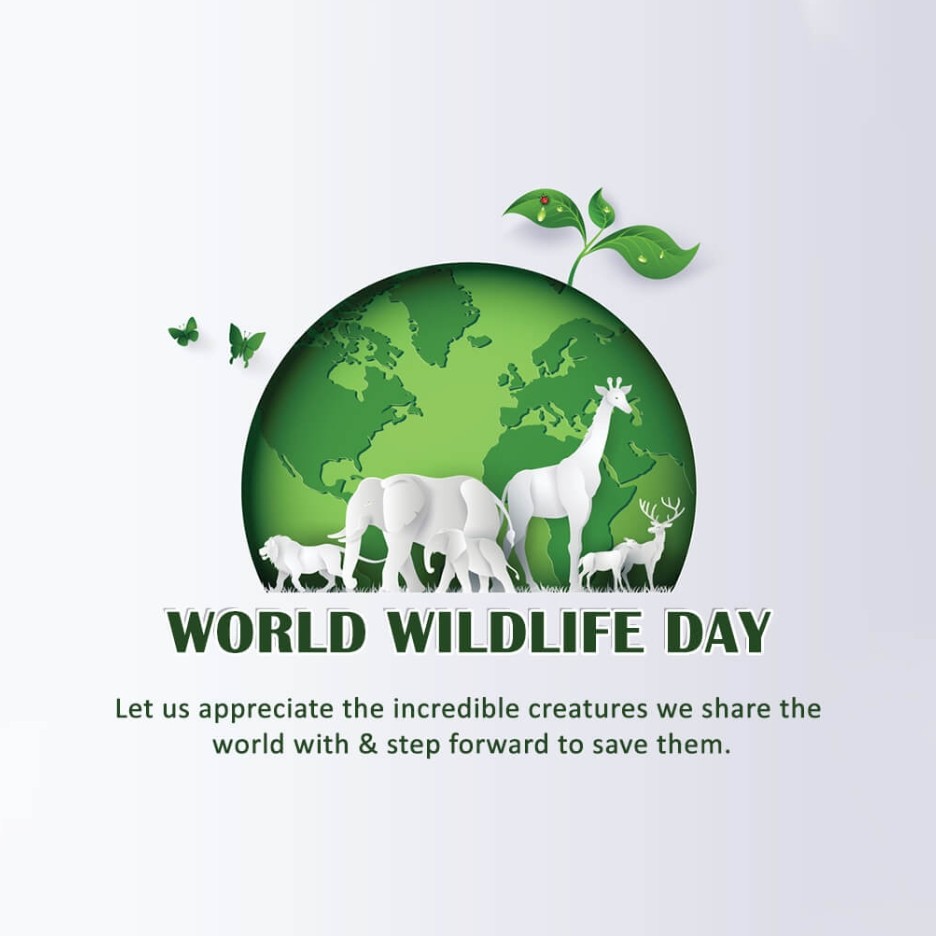 World Wildlife Day: 03 March | Download Poster, Status and hd PHotos Free 8 World Wildlife Day Stock Image Download